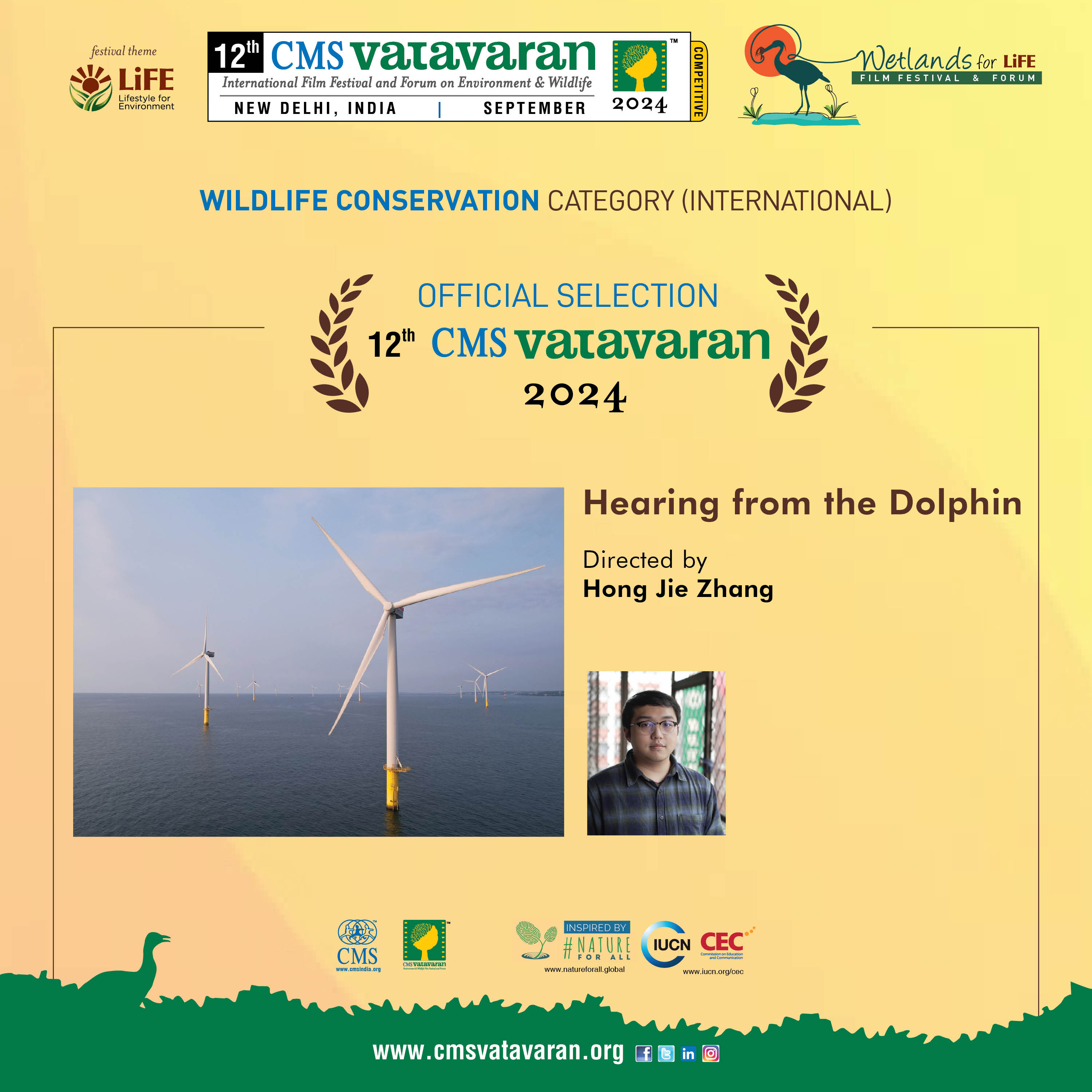 Hearing from the Dolphin
